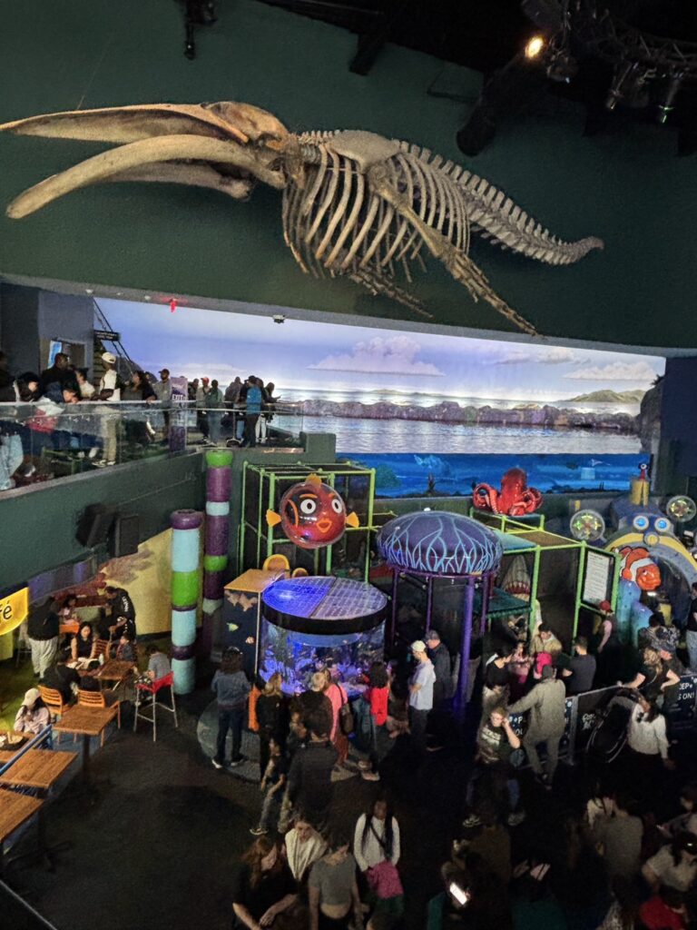 リプリーズ・アクアリウムの遊び場エリアと展示空間の様子
