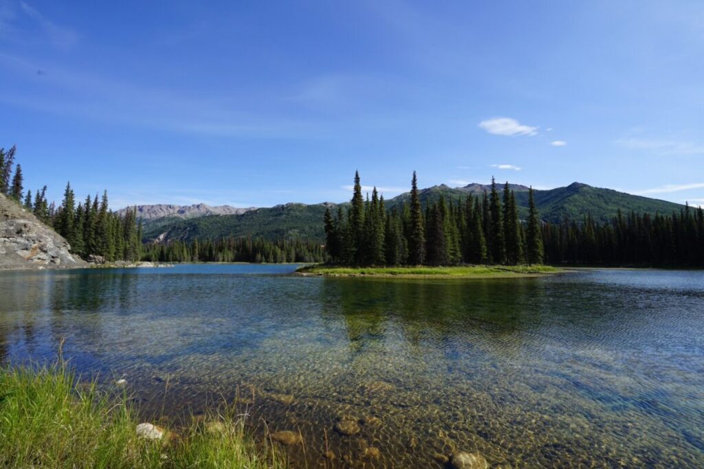 Horseshoe Lake Trail(ホースシューレイクトレイル)