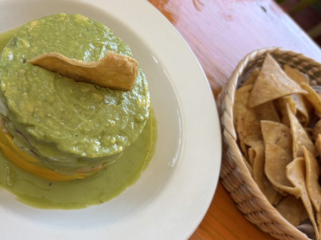 Taco dish with guacamole and tortilla chips｜ワカモレとトルティーヤのメキシコ料理