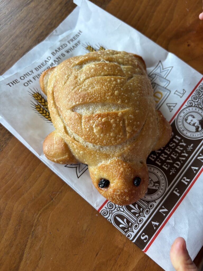 ボーディンベーカリーのカメ型サワードウブレッド