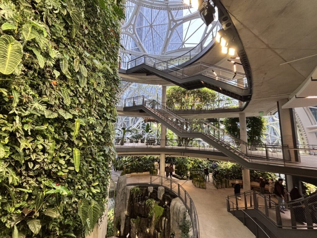 スフィアーズ内部の植物と階段